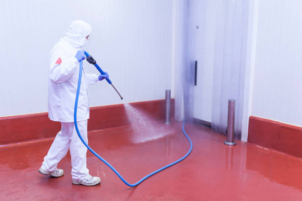 Best Rust Removal  in Walworth, WI